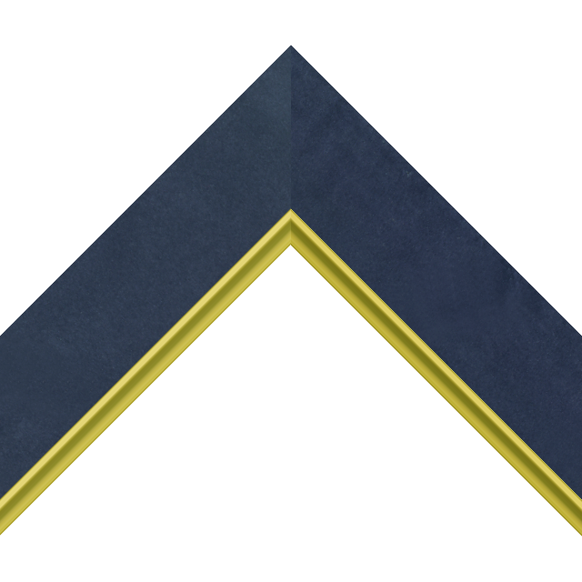 2″ Navy Suede Flat with Gold Scoop Lip