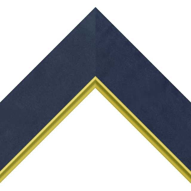 2″ Navy Suede Flat with Gold Scoop Lip