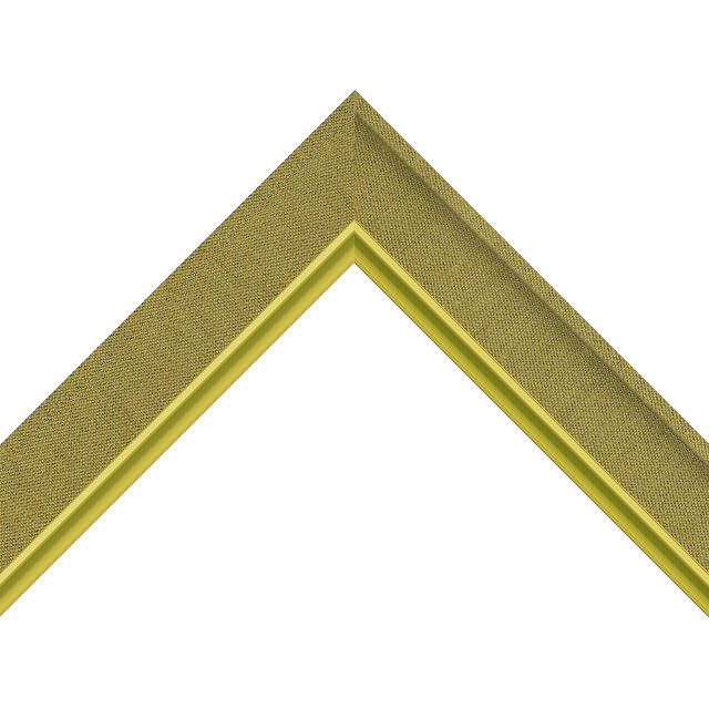 1-1/2″ Coin Silk Scoop with Gold Scoop Lip